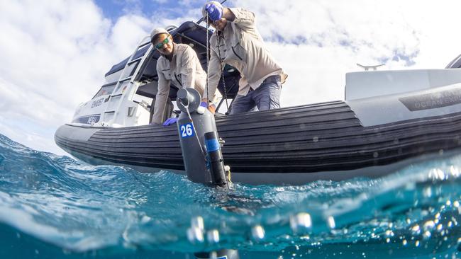 DNA collection in the waters off Western Australia. Source: Minderoo Foundation OceanOmics