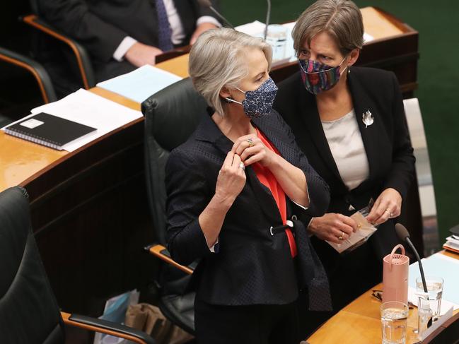 Greens member for Franklin with Greens leader Cassy O'Connor. Question time in the Tasmanian parliament. Picture: Nikki Davis-Jones