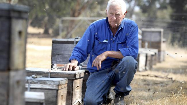 Island Beehive owner Peter Davis with some of the hives he managed to save from the fires. Picture: Dean Martin