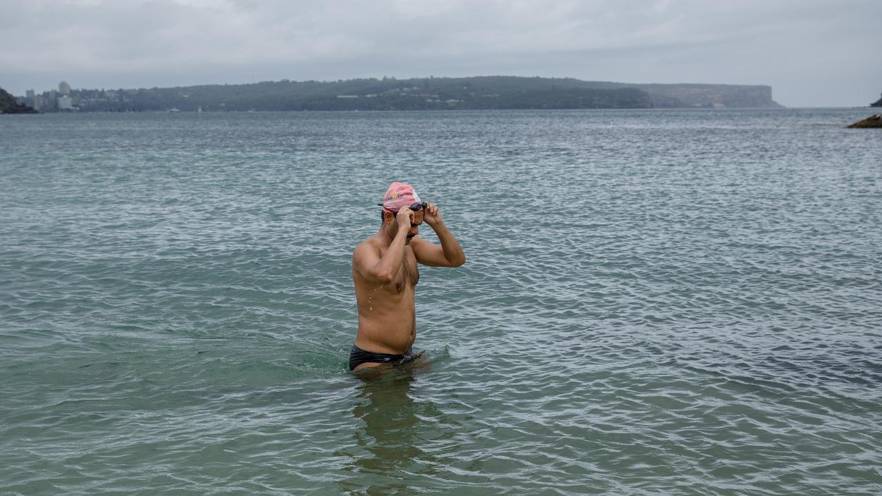 Balmoral ocean swimmers undeterred by shark attack