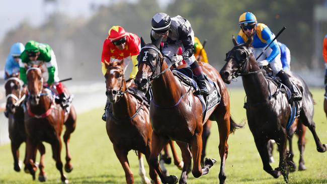 Houtzen ridden by Jeff Lloyd wins the Jeep Magic Millions 2 year old classic at Magic Millions Raceday on January 14, 2017 in Gold Coast. (Photo by Jason O'Brien/Getty Images)