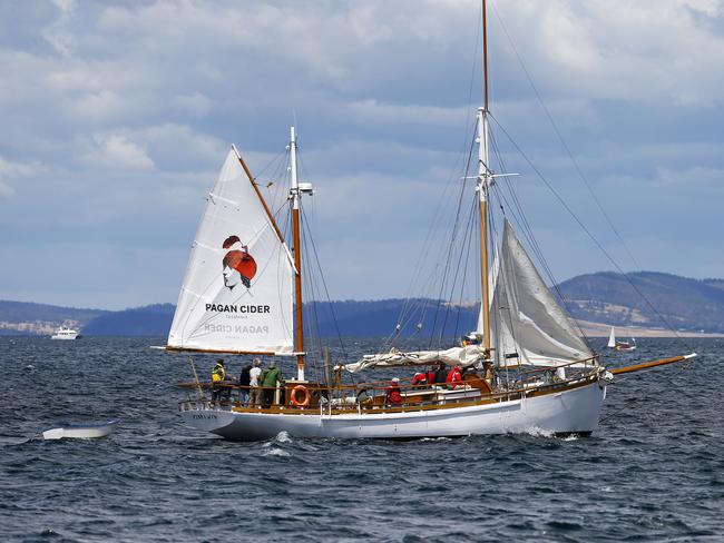 Australian Wooden Boat Festival - Parade of Sail pictured from the Young Endeavor PICTURE: MATT THOMPSON