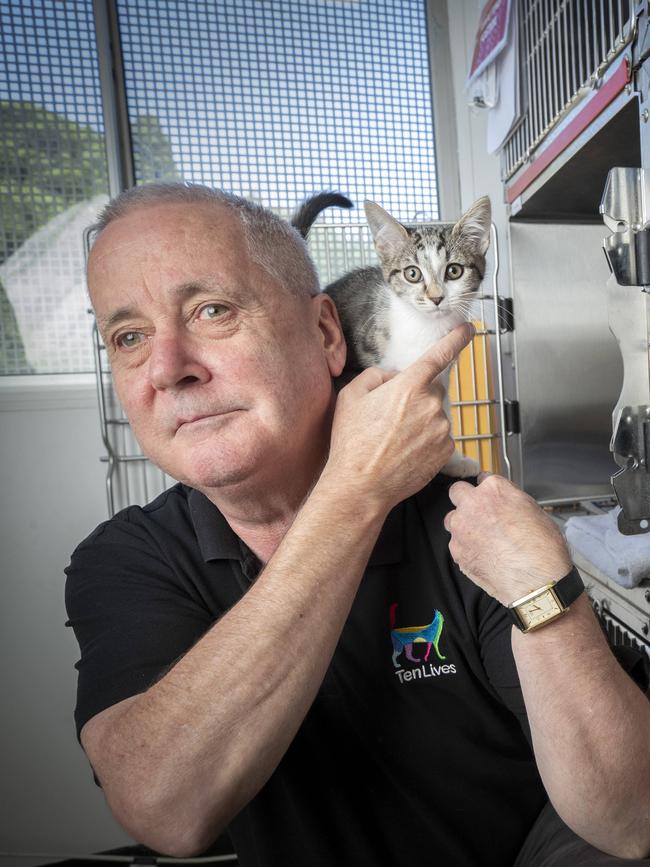 Ten Lives Cat Centre CEO Noel Hunt with Rufus. Picture: Chris Kidd