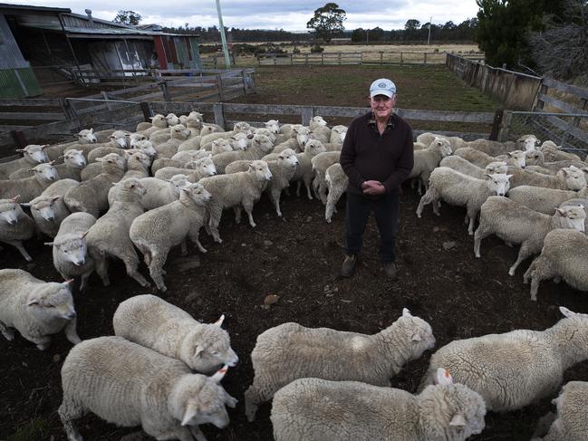 Mr Glover in the sheep yards. Picture: CHRIS KIDD