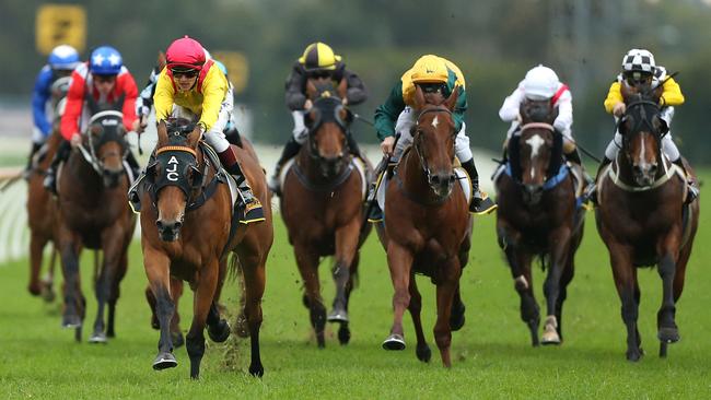 SYDNEY, AUSTRALIA - MAY 30: Taylor Marshall rides Vergara to win race 7, The Schweppes Handicap, during Sydney Racing at Rosehill Gardens on May 30, 2015 in Sydney, Australia. (Photo by Anthony Johnson/Getty Images)