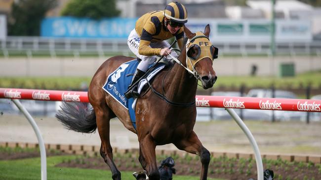 Linda Meech has been a dominant rider in country Victoria for year after year and is now one of Australia’s leading jockeys by any measure. Picture: Getty Images