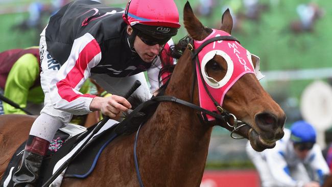 MELBOURNE, AUSTRALIA - AUGUST 08: Tom Sadler riding Del Prado wins Race 6 during Melbourne Racing at Flemington Racecourse on August 8, 2015 in Melbourne, Australia. (Photo by Vince Caligiuri/Getty Images)