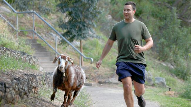 Schnitzel and her owner Beau Niha run along the banks of Nepean River in Penrith. (AAP IMAGE / Angelo Velardo)