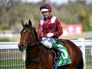 WINNING BOOST: Jockey Brad Stewart returns to the Ipswich enclosure after riding Spirit House to victory in the Brisbane Screenprinting Maiden at last Friday's meeting. Picture: Rob Williams