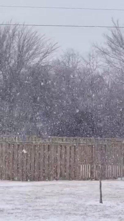 Up to a Foot of Snow Forecast in Parts of Missouri as Storm Moves In