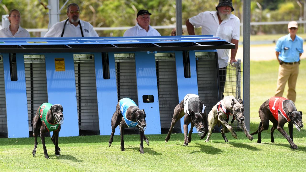 Coalition for the Protection of Greyhounds research shows