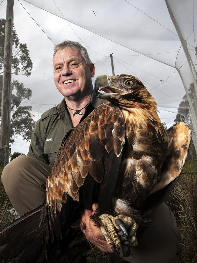 Raptor Refuge director Craig Webb. Picture Chris Kidd