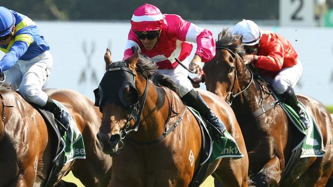 Ang Pow wins at Randwick on December 21. The Richard and Will Freedman-trained six-year-old is aiming to make it two on the trot at Randwick tomorrow. Picture: Jeremy Ng / Getty Images