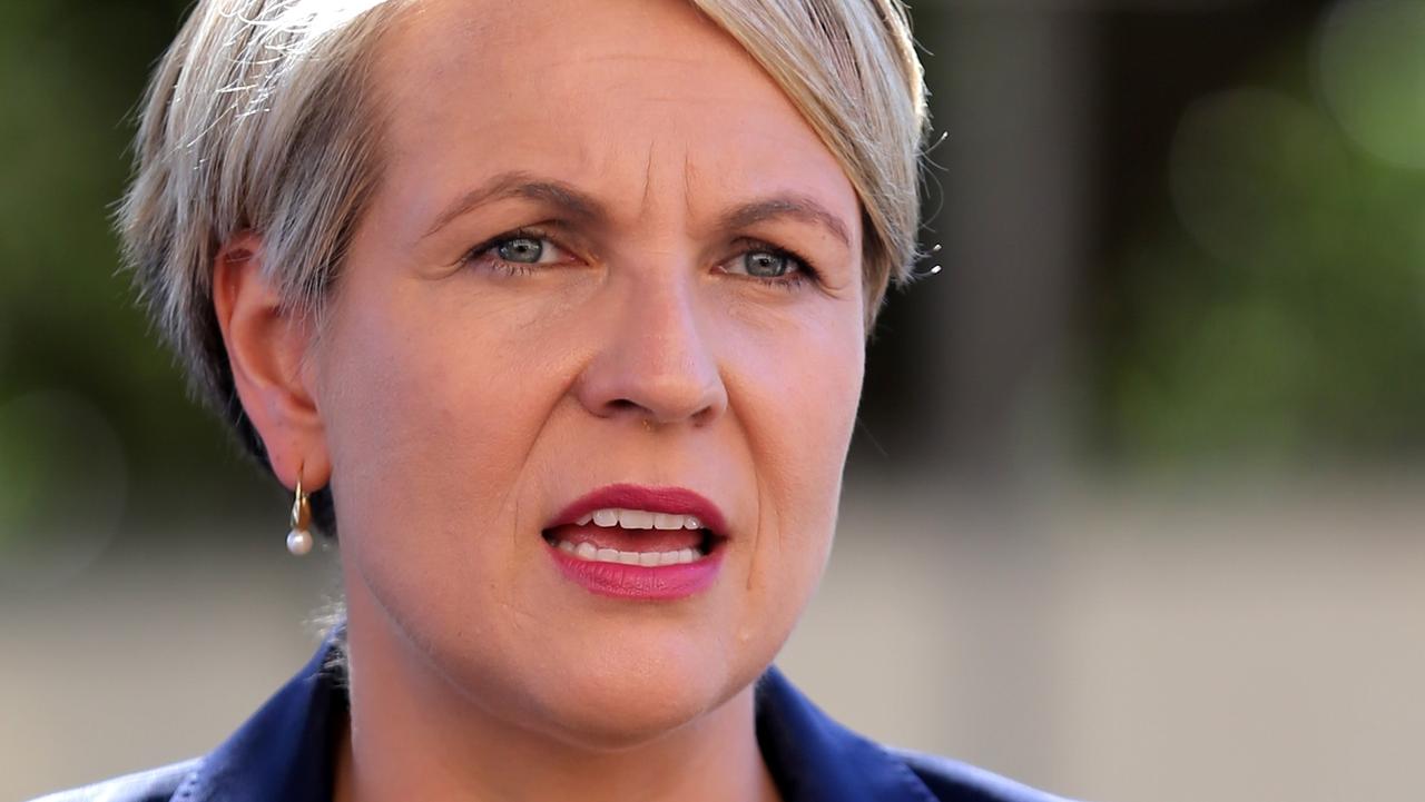 Tanya Plibersek rejects Bob Carr’s Syria plan The Australian