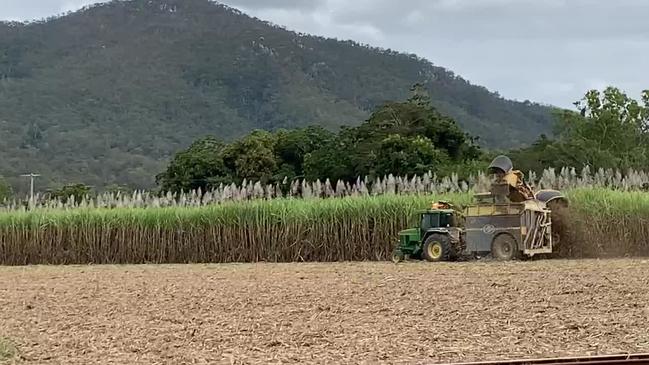 UNDER WAY: Cane harvesting is now happening across the Pioneer Valley