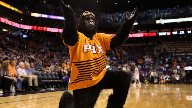 The Phoenix Suns mascot, Gorilla performs. Photo by Christian Petersen/Getty Images.