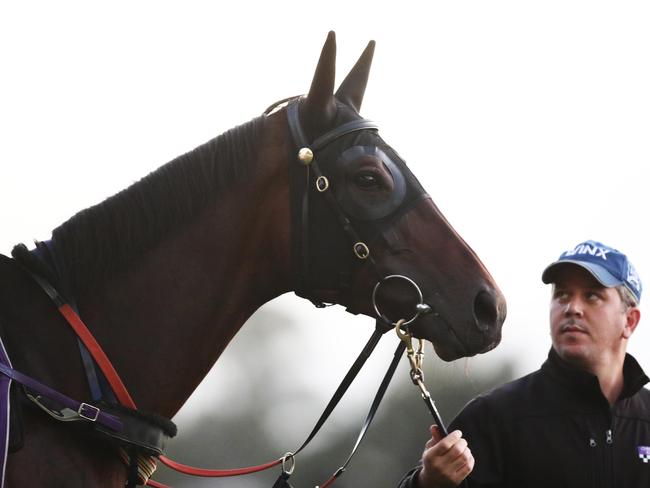 Winx at trackwork in 2019. Picture: Getty Images