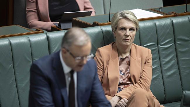 Tanya Plibersek with Anthony Albanese during Question Time. Picture: NCA NewsWire / Gary Ramage