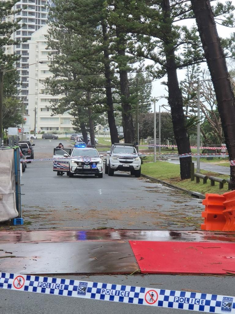 Two huge norfolk pines teeter across Broadbeach Bvd, threatening power lines and nearby properties, in the wake of Cyclone Alfred. Monday March 10, 2025.