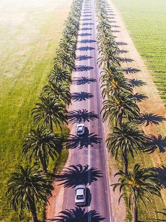 Seppeltsfield Estate Winery won a Gold Award at the 2016 Qantas Australian Tourism Awards. PICTURE: Bo Le