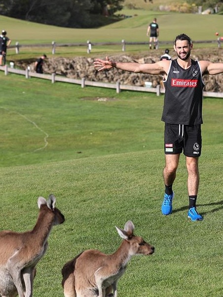 Collingwood’s Brodie Grundy and his new mates in Perth 🦘