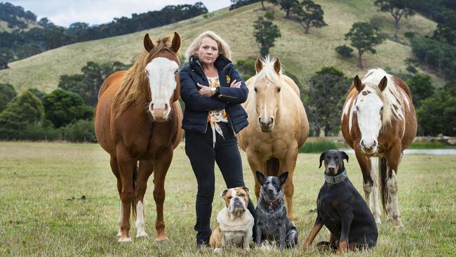 Shelly Biancon with horses Diva, Marty and Ruby Tuesday and British bulldog Patrick, blue heeler Peggy and Doberman Seven. Picture: Zoe Phillips