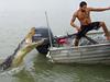 Are these our best ever croc photos?