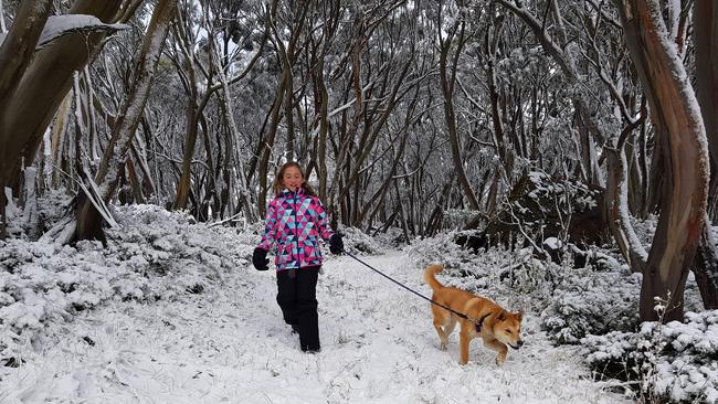 Indi Bechaz with her mountain dingo Rowdy at Mount Baw Baw in Victoria. A severe weather warning has been issued for the state with up to 150mm of rain forecast.