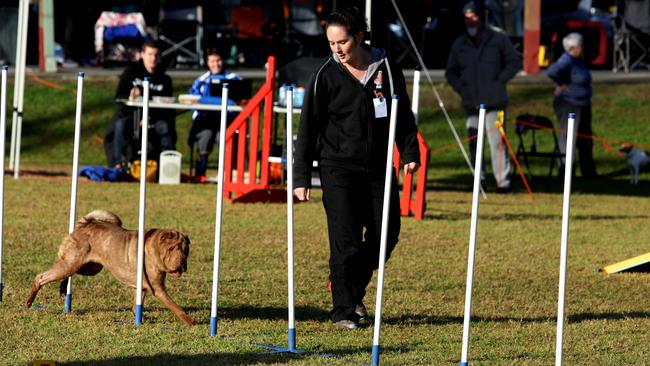 Rachael Fullerton with another one of her dogs at an agility dog competition.