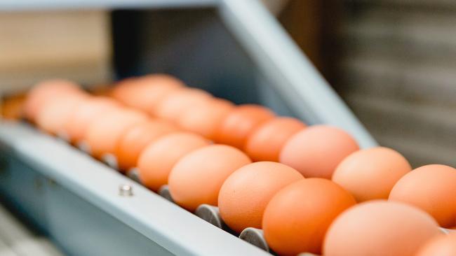 Sixteen avian influenza outbreaks have created an egg shortage that has forced Coles and Woolworths to delay their phase out of caged eggs.