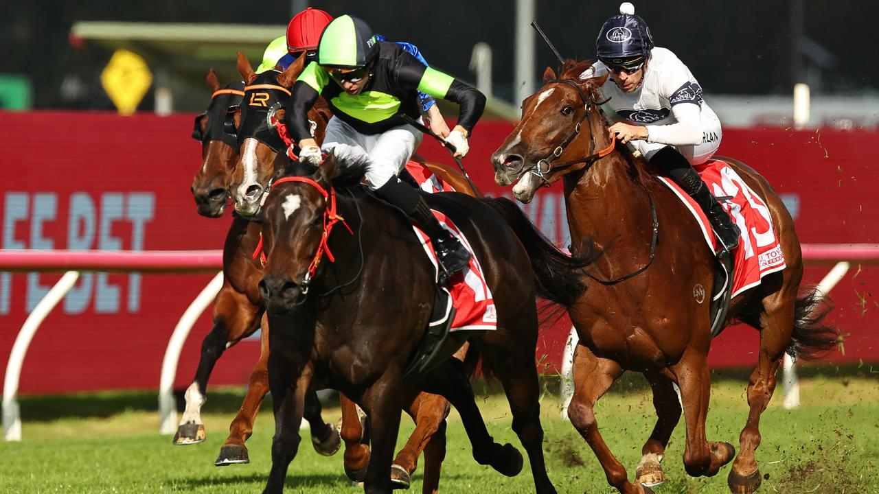 Joe Pride’s new star: King’s Secret shines win first city win
