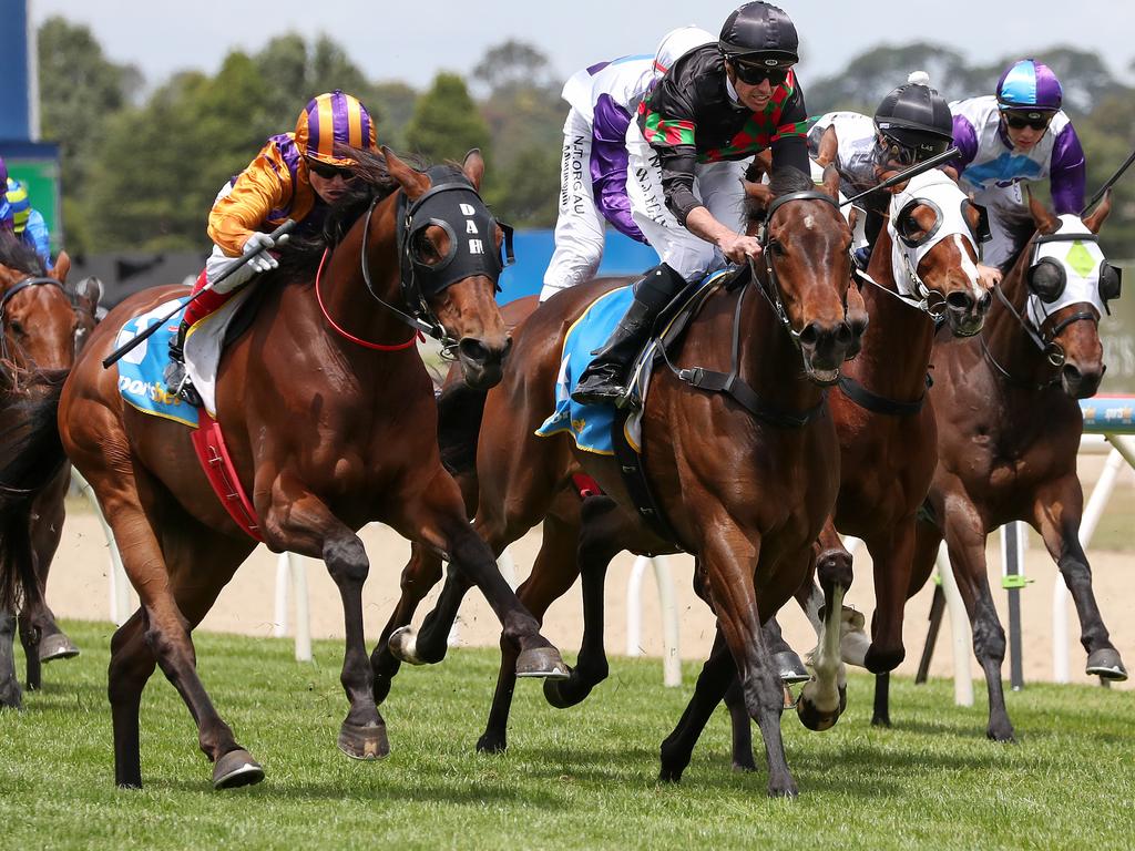 Progressive type Creedence (left) wins on Ballarat Cup Day. Picture: Getty Images