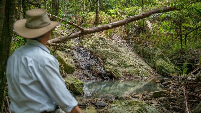 This Tomewin property, marketed by Ray White Murwillumbah, sold for $2 million in December.