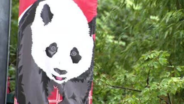 Smithsonian National Zoo hosts Panda Palooza to say farewell to DC pandas