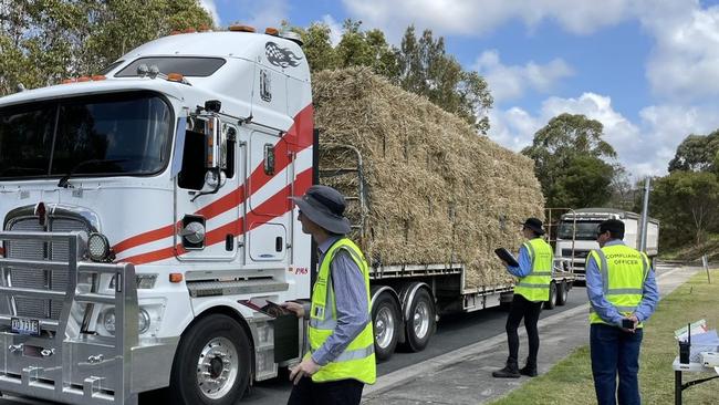 Operation Victa was established late last year to stop the further spread of fire ants into northern NSW. Picture: Supplied/NSW Department of Primary Industries