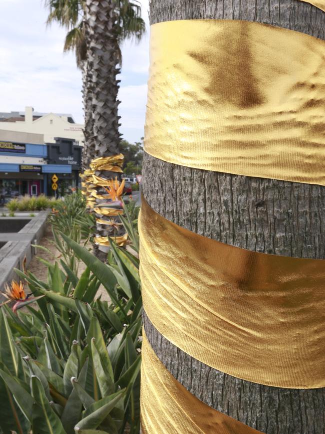 Gold ribbon has been wrapped around trees.