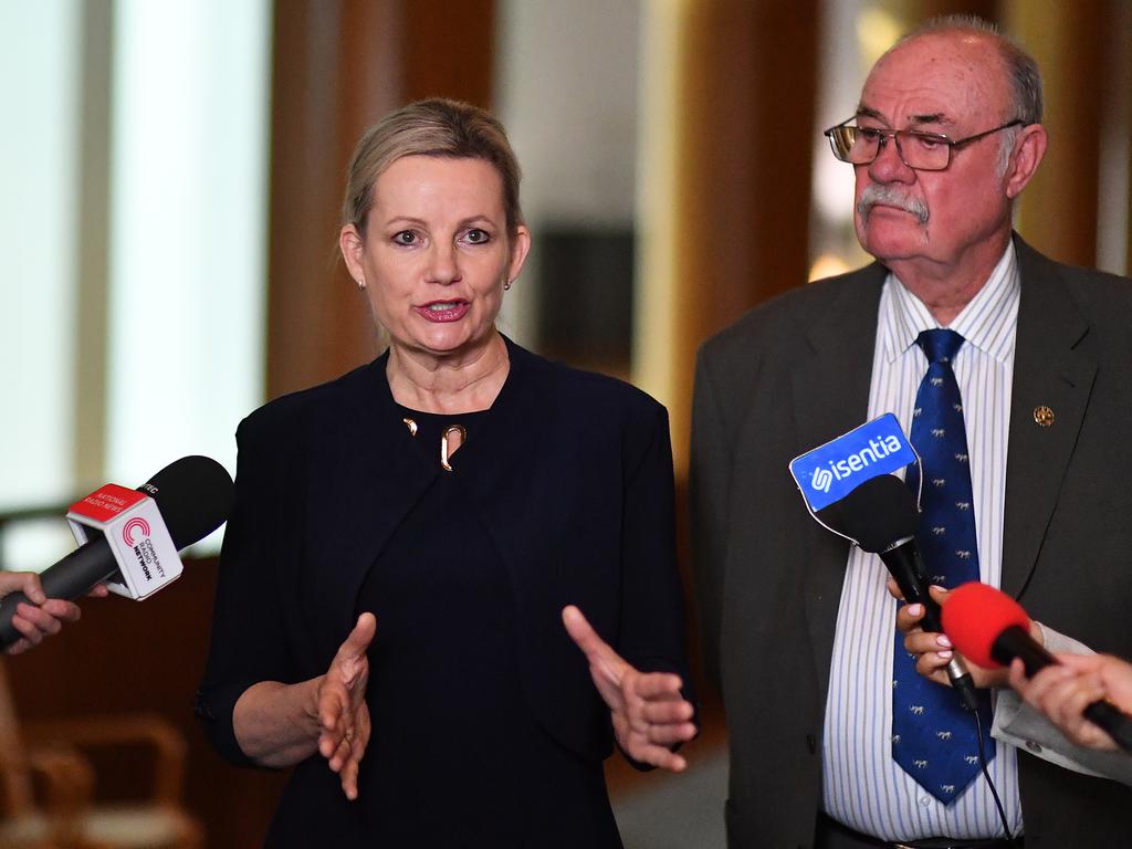 Environment Minister Sussan Ley Holds Press Conference As Parliament Continues