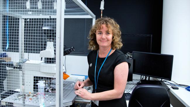 Griffith University immunologist Professor Sonya Marshall-Gradisnik.