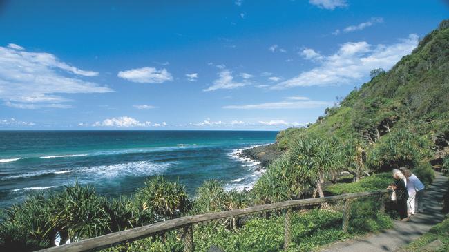 There are calls to clean up the noxious weeds at Burleigh Head National Park.