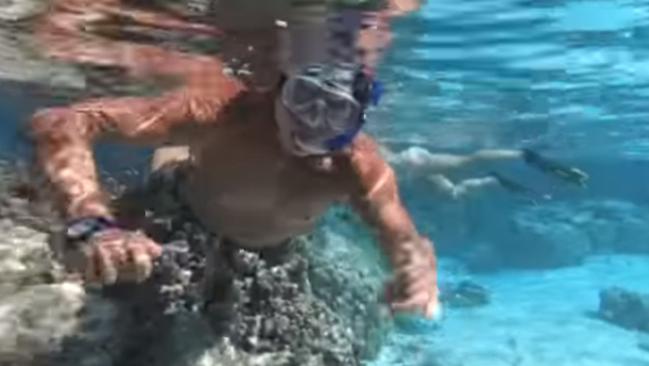 Nikolic snorkelling prior to the drug bust by Fijian authorities.