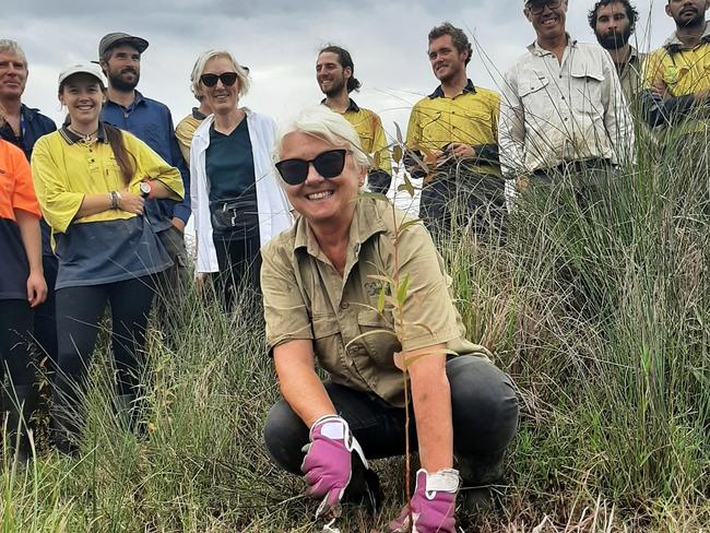 Bangalow Koalas Inc plants their 100,000th tree .