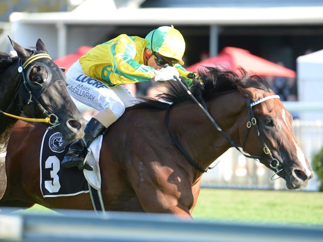 Mr Epic (no.3) wins his second consecutive race at Doomben. Picture: Trackside Photography.