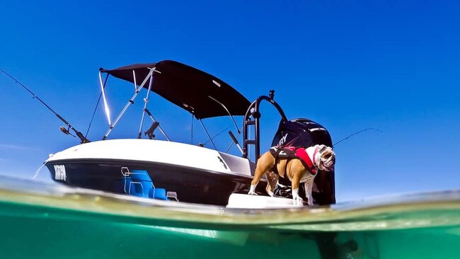 Daniel Brauer: "Enjoying life at Wavebreak Island".