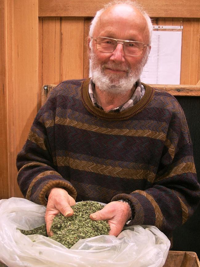 Herbal enthusiasm: Greg Whitten.