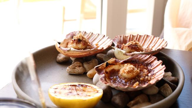 A trio of decadent Tasmanian scallops served in shell with a Casalinga chorizo crumb, pangrattato, and charred lemon. Picture: Stephanie Dalton