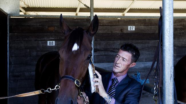 Trainer Peter Robl brushes his horse Ninth Legion. Picture: Jenny Evans