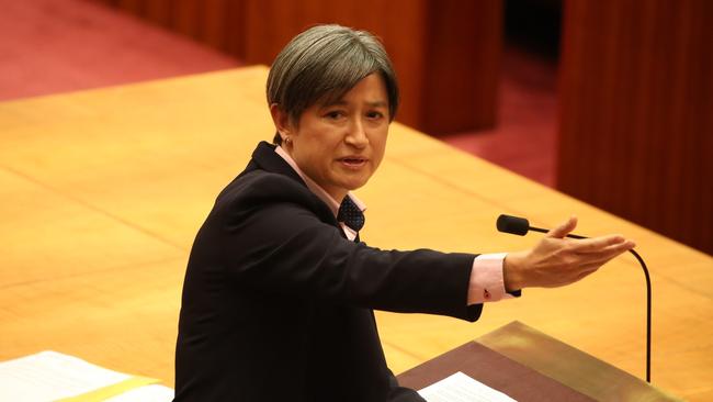 Senator Penny Wong in the senate talking about the plebiscite. Picture: Gary Ramage