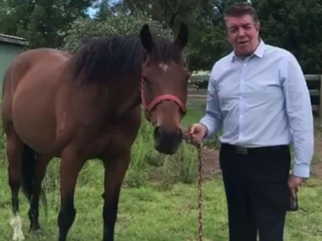 Disability Services Minister Ray Williams hopped on his trusty steed Nugget.