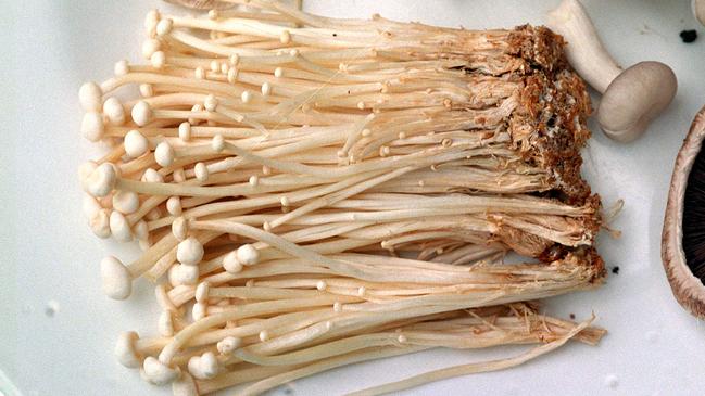 Enoki mushrooms.   mushroom/Mushrooms
