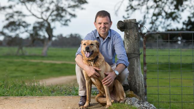 Liberal MP Nick McBride at his farm in Conmurra. Picture: Tom Huntley